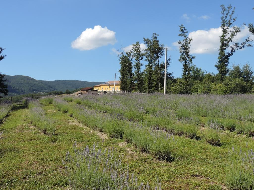Societa Agricola Cacigolara Villa Borgo Val di Taro Exterior photo